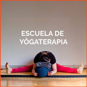yogaterapia profesional